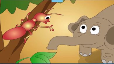 الفيل والنملة قصة اطفال