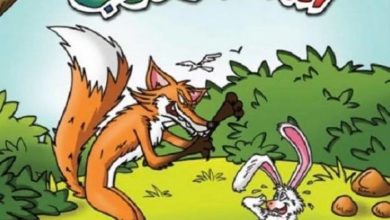 قصة الثعلب والارانب قصص قصيرة مسلية للاطفال