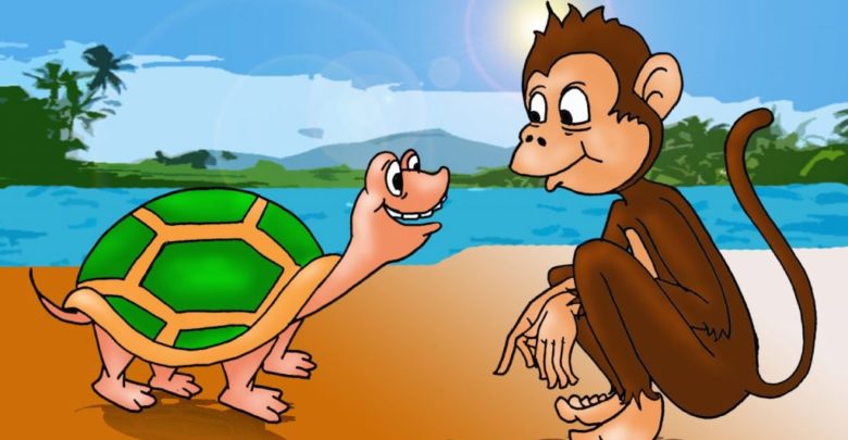 قصة القرد  والسلحفاه